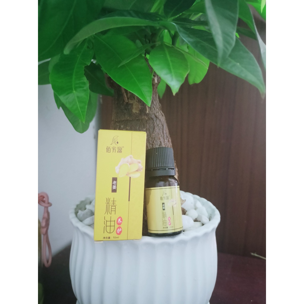 Máy massage cầm tay giác hơi cạo gió không dùng lửa - bo ong giac hoi hut chan khong - giam can A23