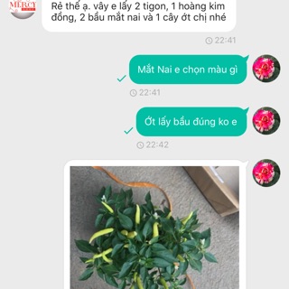 Combo 1 ớt 25k,1 hoàng kim đồng 50,2tigon 120,2mắt nai Hồng 50