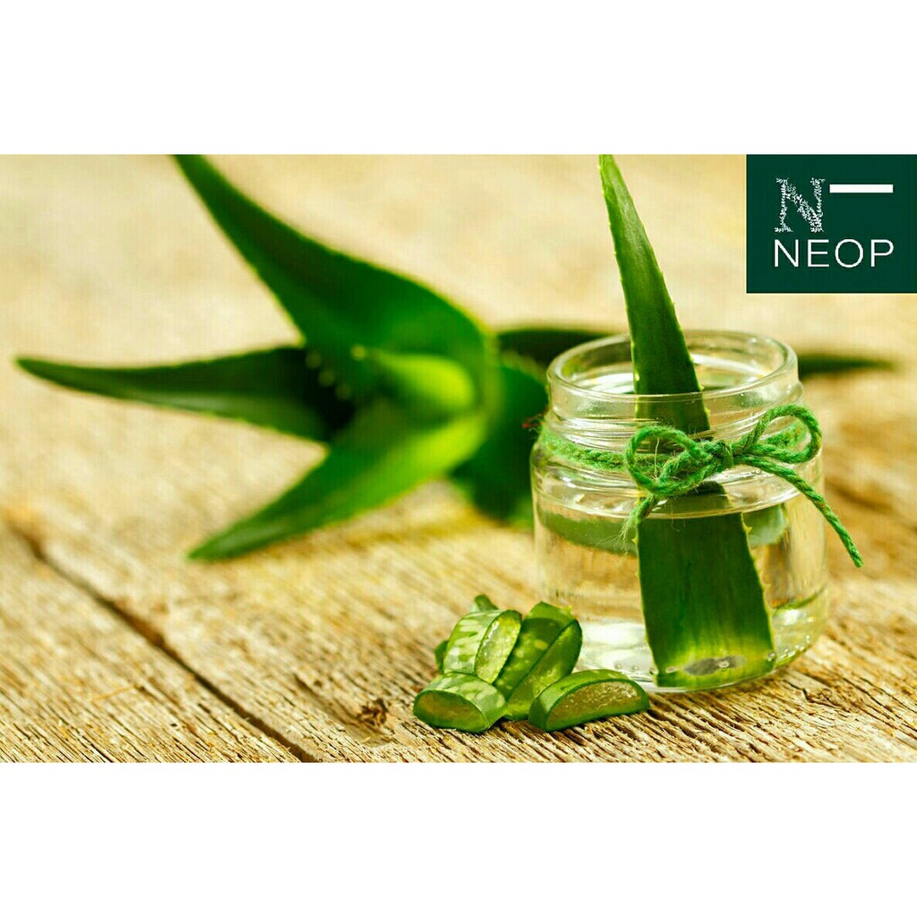 Chiết Xuất Nha Đam NEOP (Mexico) 100ml - Se Khít Lỗ Chân Lông - Aloe Vera Extract - 100% Natural