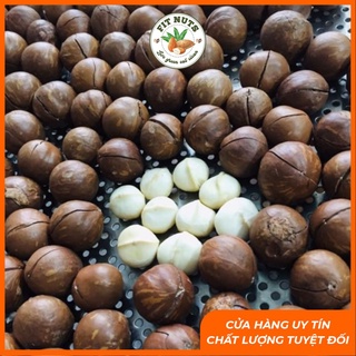 Hạt Maccadamia chưa tách vỏ