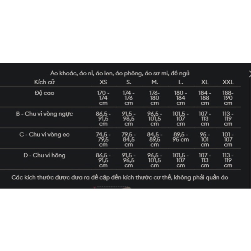 Áo Thun Thể Thao Sinsay chính hãng cho nam