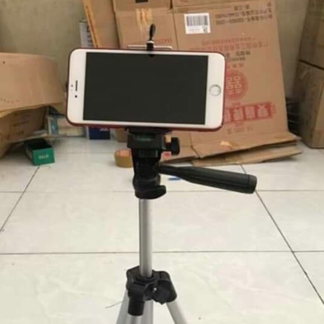 Cây livetream không đèn