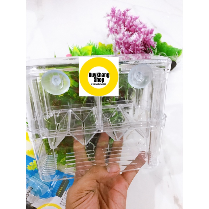 Lồng Đẻ Mica 2 Size Lớn, Nhỏ Cho Cá 7 Màu Và Các Loại Cá Cảnh Khác