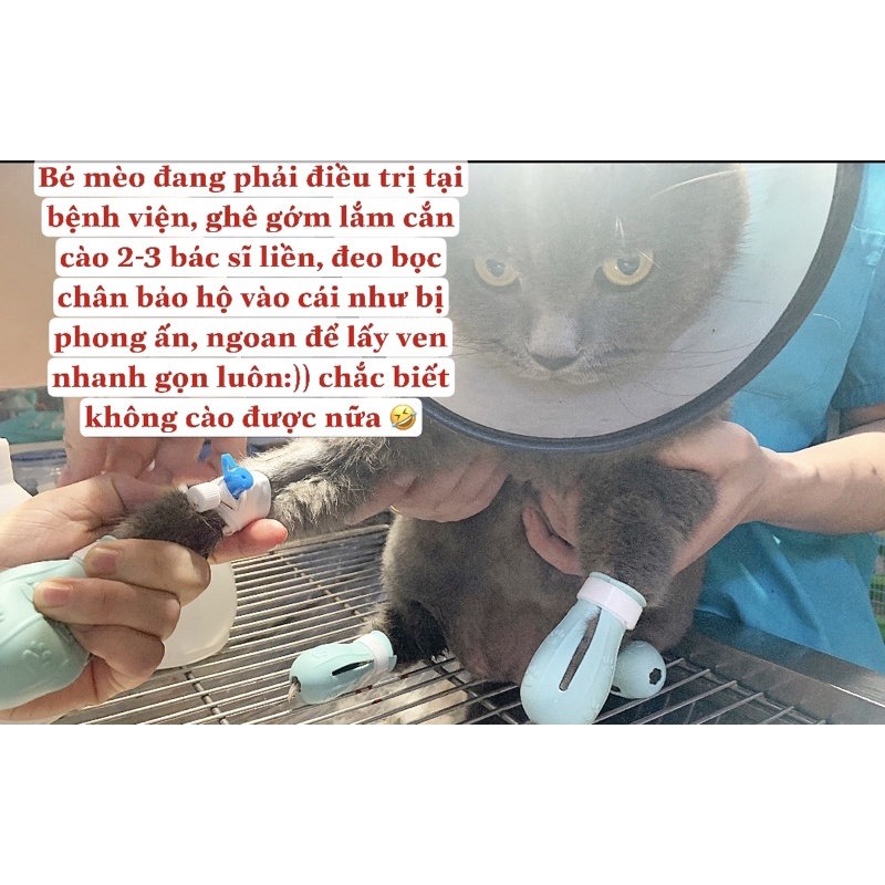 Vỏ Bọc chân mèo chống cào
