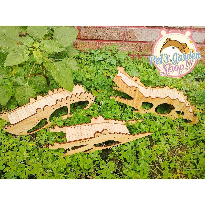 Thang chui kết hợp cá sấu bằng gỗ cho hamster