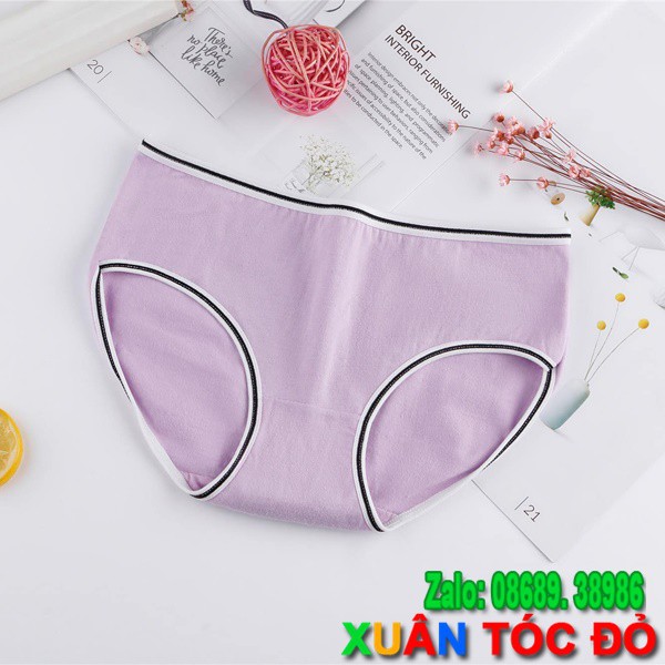  SỈ ZALO RẺ HƠN NHIỀU_ Quần Lót Cotton Nhiều Màu Viền Kẻ Mới Siêu Đẹp H013 | BigBuy360 - bigbuy360.vn