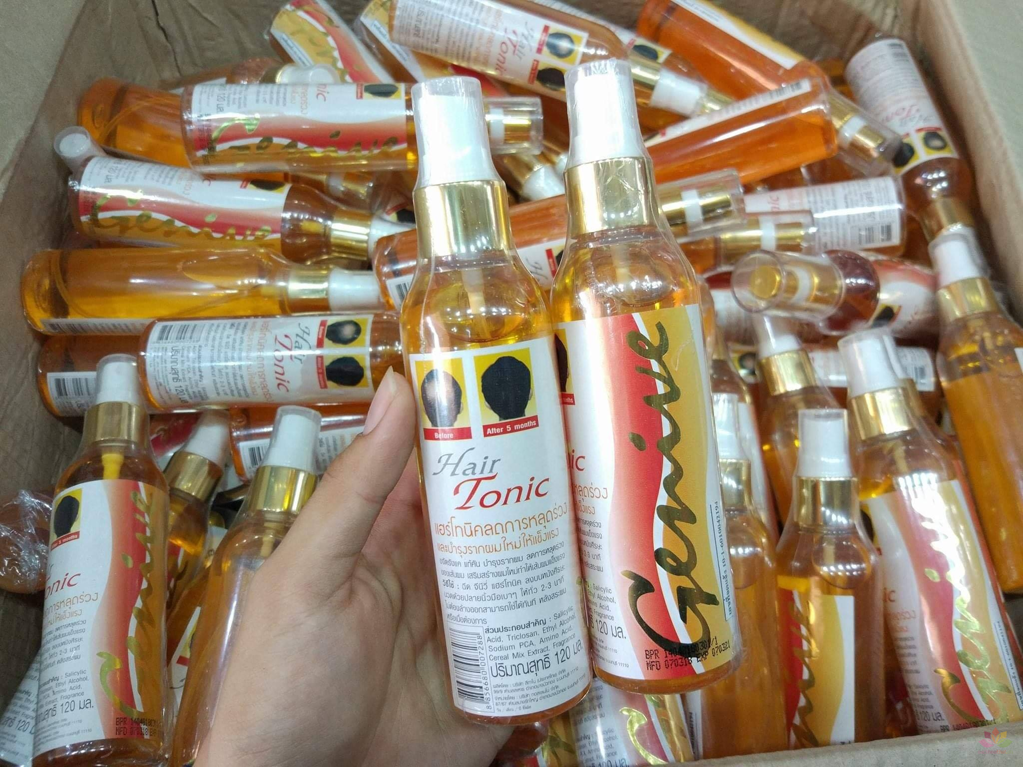 Chai xit ƙích mọc ṫóc Genive Hair Tonic Thái Lan