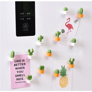 Hộp 6 cái Nam châm hình chậu cây xương rồng trang trí tủ lạnh, chặn giấy note Eotiay