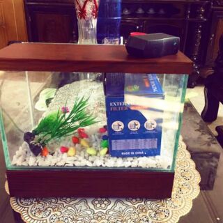 Bể Cá Mini Nắp đèn Led, bể cá cảnh full giá rẻ kèm đủ phụ kiện (thức ăn cho cá +cây nhựa+ đá màu)