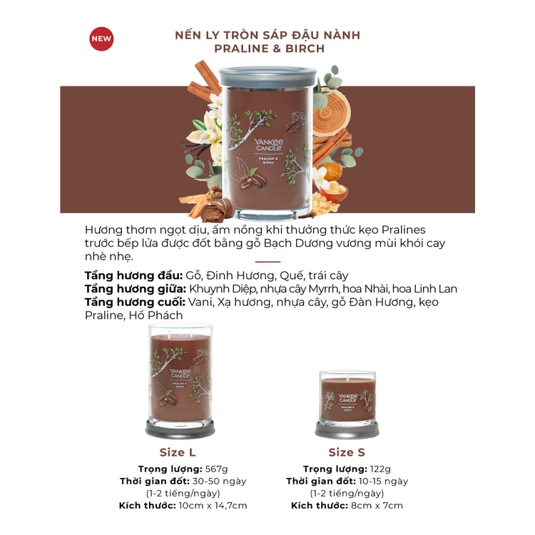 Nến ly tròn sáp đậu nành Yankee Candle size S (122g) - Praline &amp; Birch