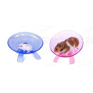 wheel chạy parabol (đĩa bay) cho hamster, nhím kiểng