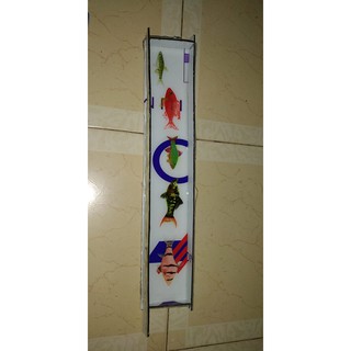 phôi cá 3d