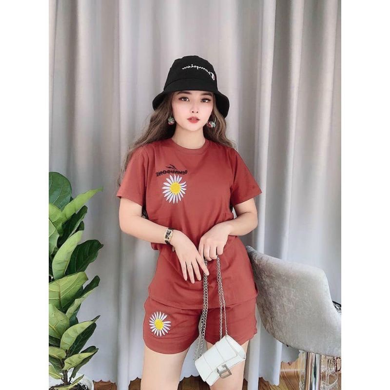 ( Sale sập sàn cuối năm) Đồ bộ mặc nhà thun cotton