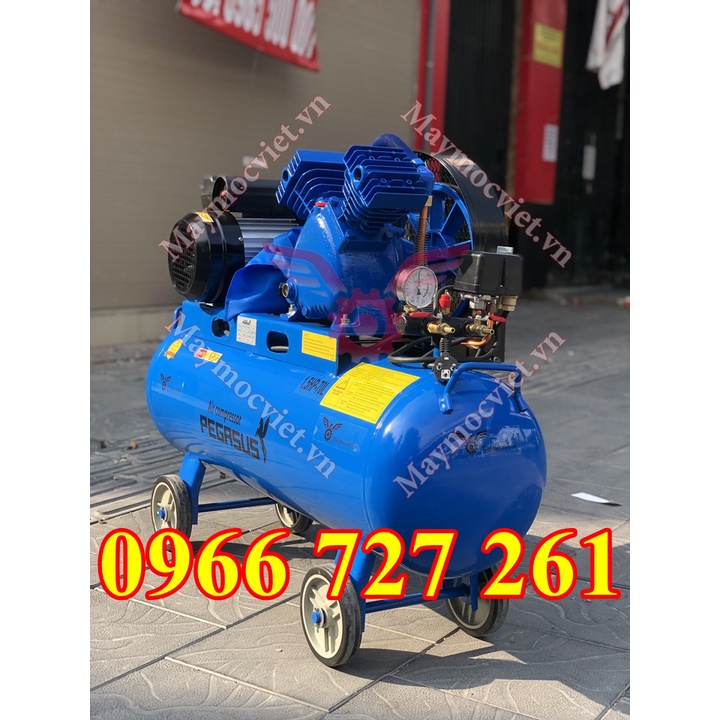 Máy nén khí dây đai Pegasus sử dụng dầu làm mát TM-V-0.12/8-70L