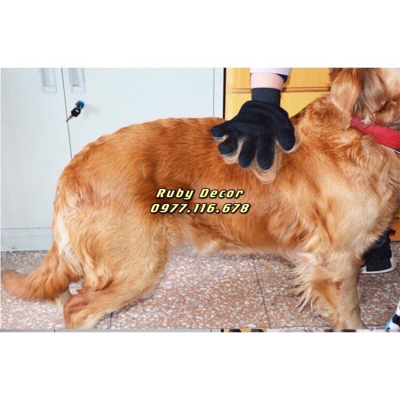 Găng Tay Chải Lông Lấy lông Rụng Cho Chó Mèo (màu ngẫu nhiên)