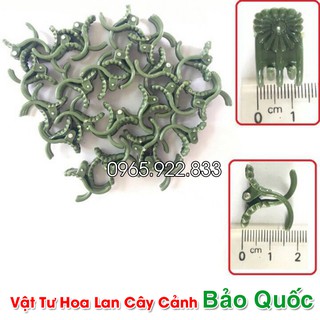 Kẹp Bướm Lan cỡ Trung cố định cây lan