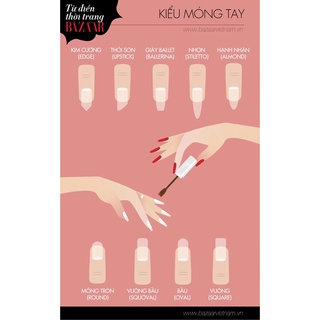 Nail box móng tay giả thiết kế