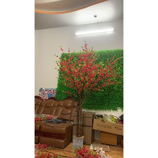 1 cành hoa anh đào Lộc
