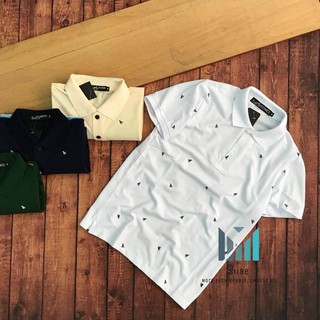 Áo thun nam polo đẹp áo phông nam có cổ in hình độc đáo vải thun cá sấu thấm hút mồ hôi co giãn tốt Siibe