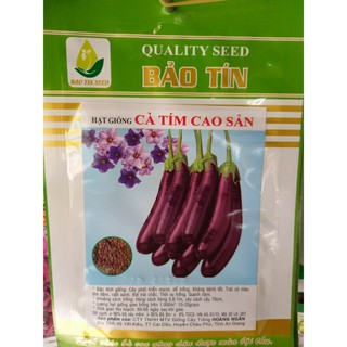 Hạt Giống Cà Tím (1g)