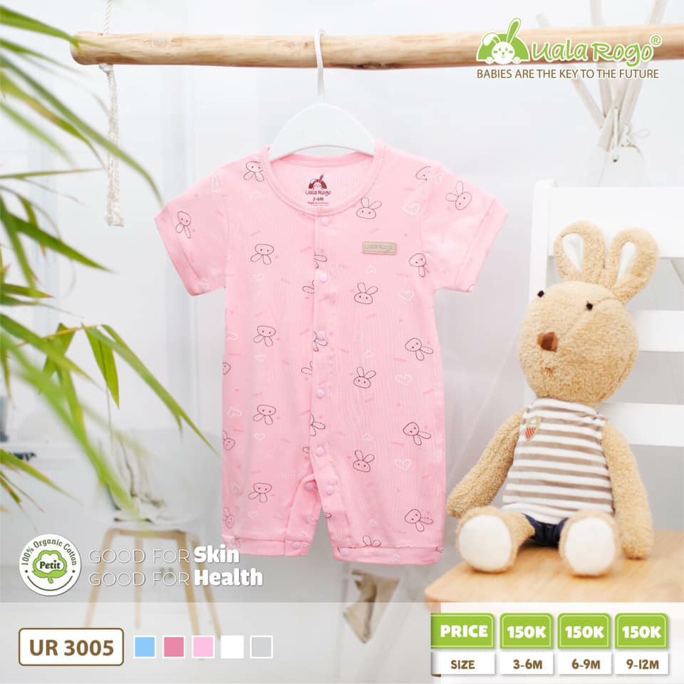 Body thỏ hồng