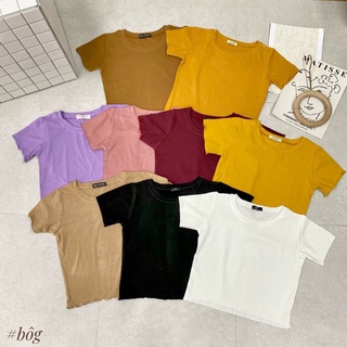 Áo thun borip croptop tay ngắn phom ôm nhiều màu