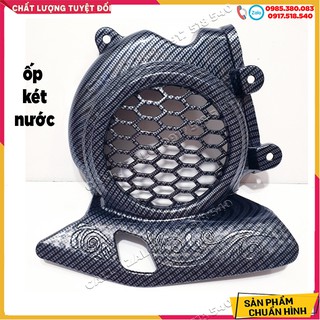 🛵 Combo 6 Món Ốp Carbon Cho Vision 2021 ( bộ 6 món ) 🛵