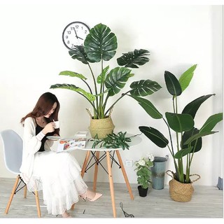 Giỏ cói trồng cây trang trí phi 20cm, 25cm