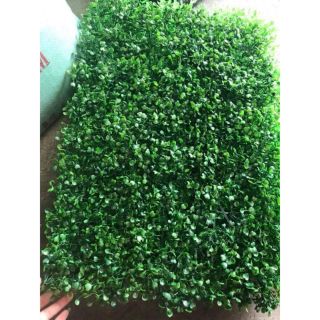 Thảm cỏ xoong trang trí tường- Thảm cỏ giả