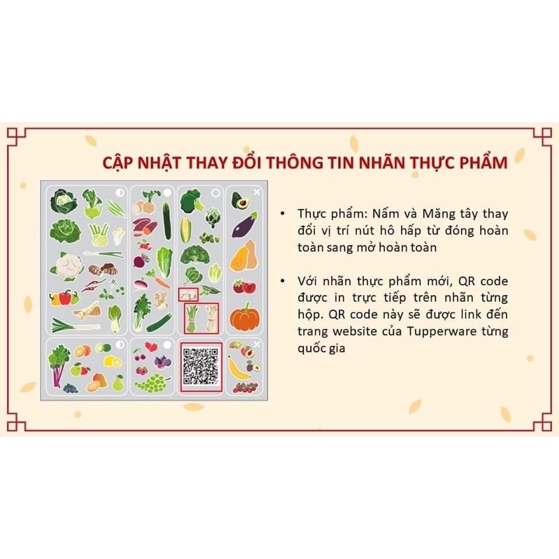 Bộ hộp trữ mát, hộp đựng thực phẩm Ventsmart Tupperware VIỆT NAM NHÃN MỚI