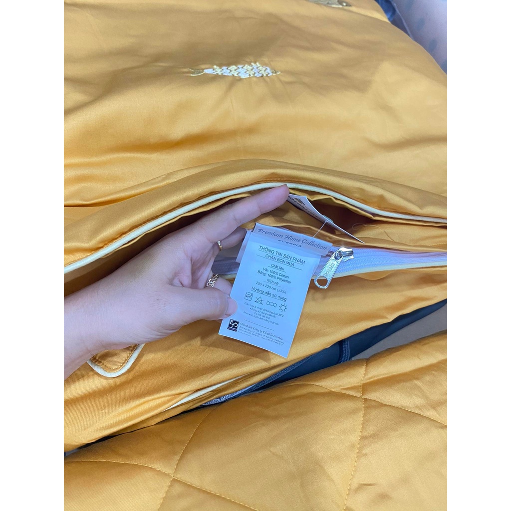 Bộ Drap chun chần EVERON MDSC048