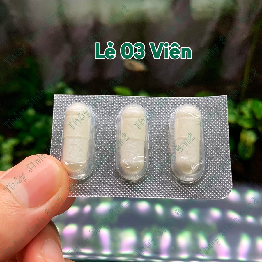 Viên Sát Khuẩn PRANEE AQUARIUM 1 - Trị Cá Tép Chết Lai Rai - 8m2