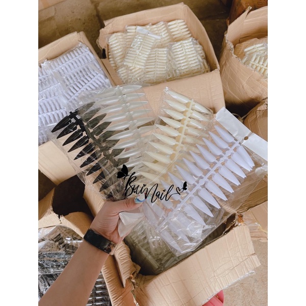 MÓNG MẪU NHỌN 240Móng