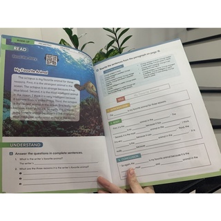 [Freeship]Bộ Nhập - WRITING FRAMEWORK (FULL 3 LEVEL 18C)