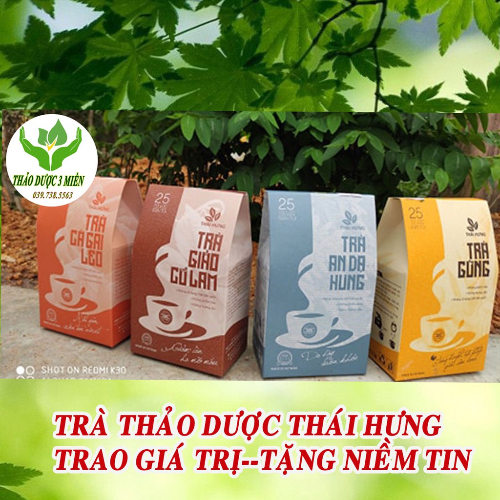 Trà thảo dược giảo cổ lam giảm cân hạ mỡ máu ngăn ngừa tai biến gói 25 túi lọc 5gr hàng chính hãng sale kịch sàn