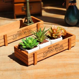Khay gỗ đựng cây cảnh để bàn độc đáo