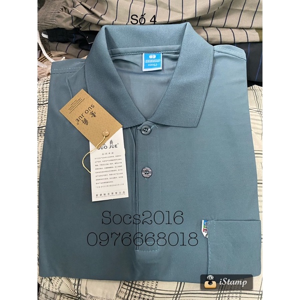 Áo phông cổ bẻ cộc tay giá rẻ