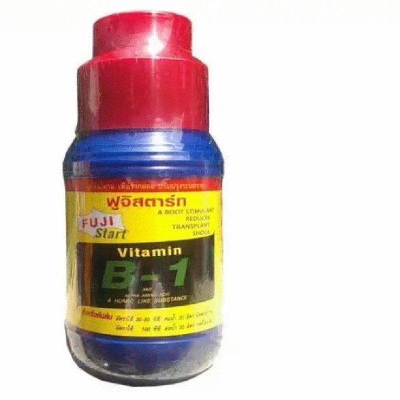 THUỐC KÍCH RỄ VITAMIN B1 STAR-THAILAND 500ml