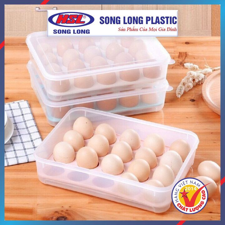   Hộp, Khay Đựng Trứng gà, trứng vịt 24 quả Song Long 2795