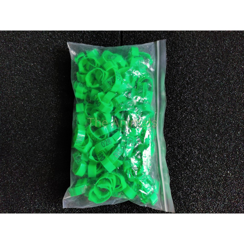 [Bich 100 cái] Vòng đeo chân cho gà, vịt, bồ câu