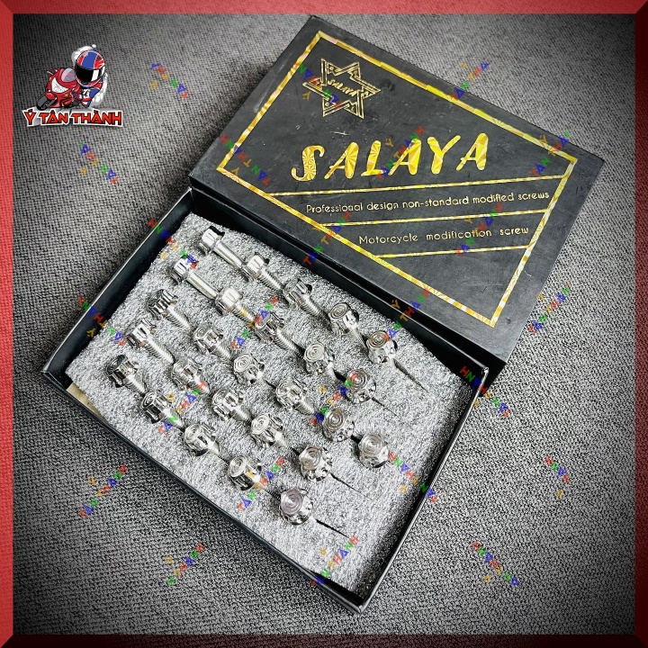 Bộ Ốc Lốc Máy Salaya V2 Satria Raider Fi MS07