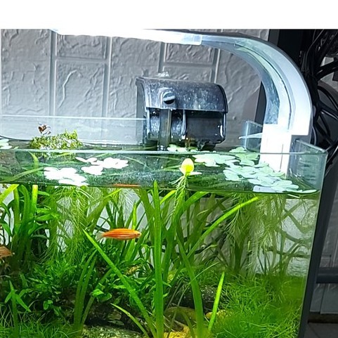 Đèn Led Kẹp Cho Bể Cá Cảnh, Thủy Sinh 25-40cm, 10W