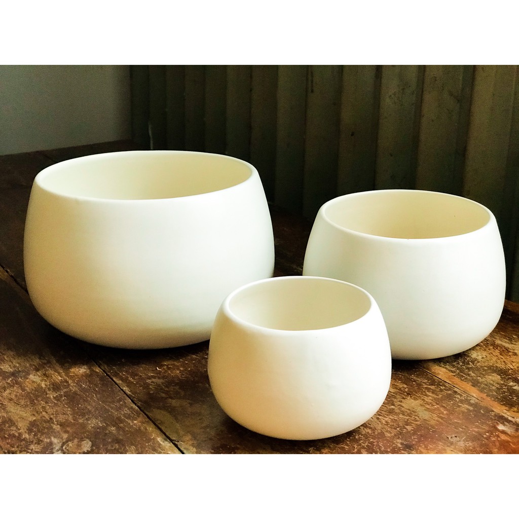 CHẬU HẠT DẺ TRỒNG SEN ĐÁ, CÂY PHONG THỦY, CÂY BONSAI MINI