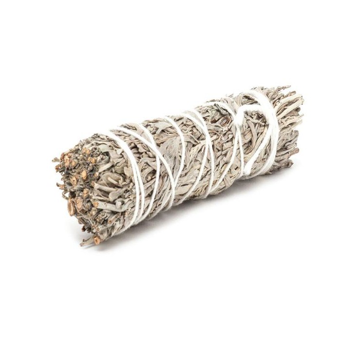 XÔ PHƯỚC LÀNH / XÔ CẦU NGUYỆN (Blessing Sage)_Size 13-15cm_SAGE GARDEN