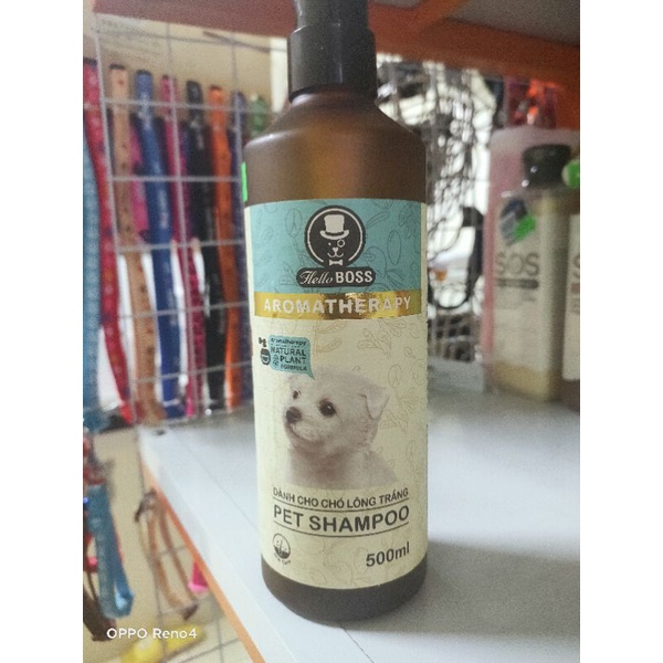 Sữa tắm nước hoa thơm lâu Hello Boss cho chó Poodle, Phốc Sóc, Nhật, Samoyed, Bắc Kinh, mèo lông trắ