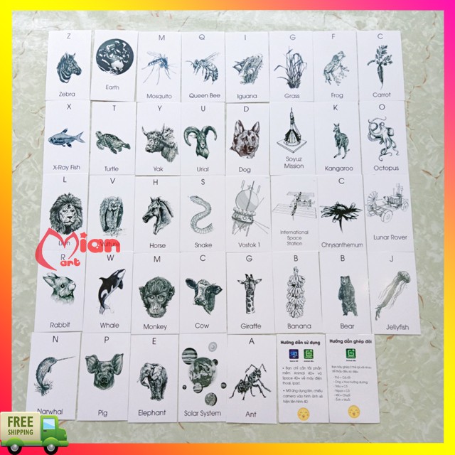 Bộ thẻ animal 4d hình ảnh động thực vật sinh động - MIAN MART