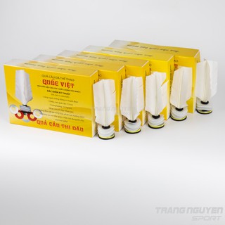 Quả Cầu đá Thi đấu Quốc Việt