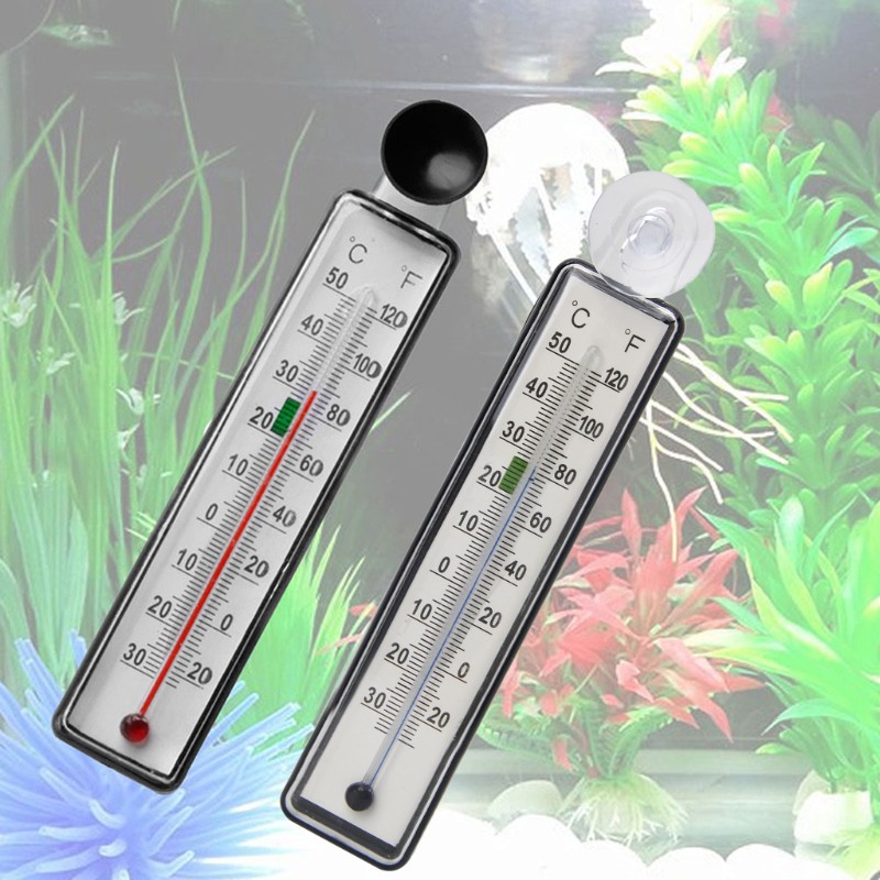 Nhiệt kế thủy tinh đo nhiệt độ nước bể cá