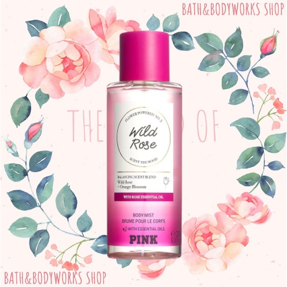 WILD ROSE - Xịt Thơm Toàn Thân Body Mist Victoria’s Secret