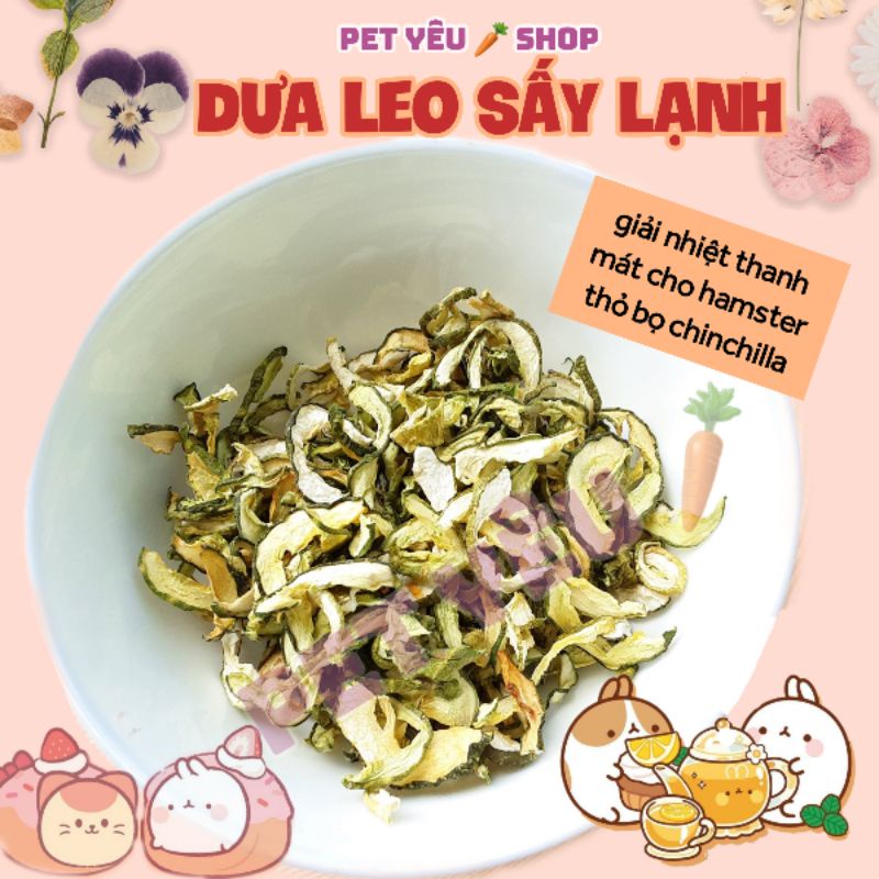 Dưa leo sấy lạnh (15Gr) FREESHIP thức ăn vặt thỏ bọ chinchilla hamster